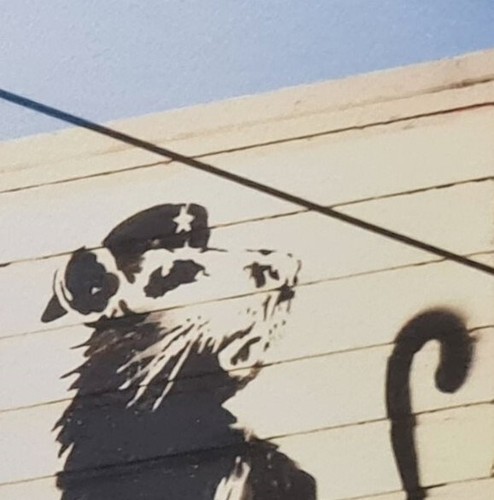BANKSY * Rat * 50 x 40 cm * Lithografie * Kunstdruck * limitiert # 129/500 - Picture 4 of 10