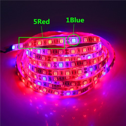 0.5M-5M Waterproof 5050 Grow LED Flexible Strip Tape Light 3 / 4 / 5 Red 1 Blue - Picture 6 of 9