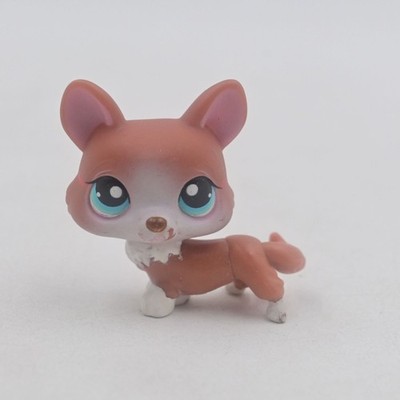 Littlest Pet Shop Corgi #317 Dog Figure