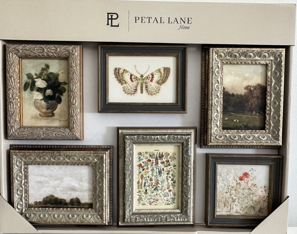 Ｐetal 額縁セット 6 pk Set PETAL LANE Mini Gallery Wall Art Framed Print Decor NEW