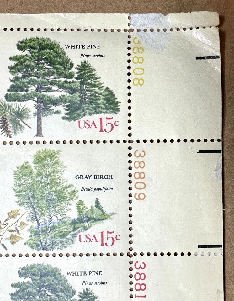 American Trees Sheet of Forty 15 Cent Postage Stamps From 1978 - Image 4 of 4