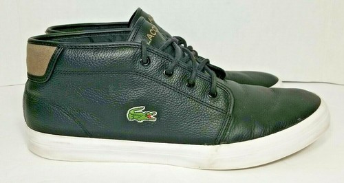 ampthill lacoste