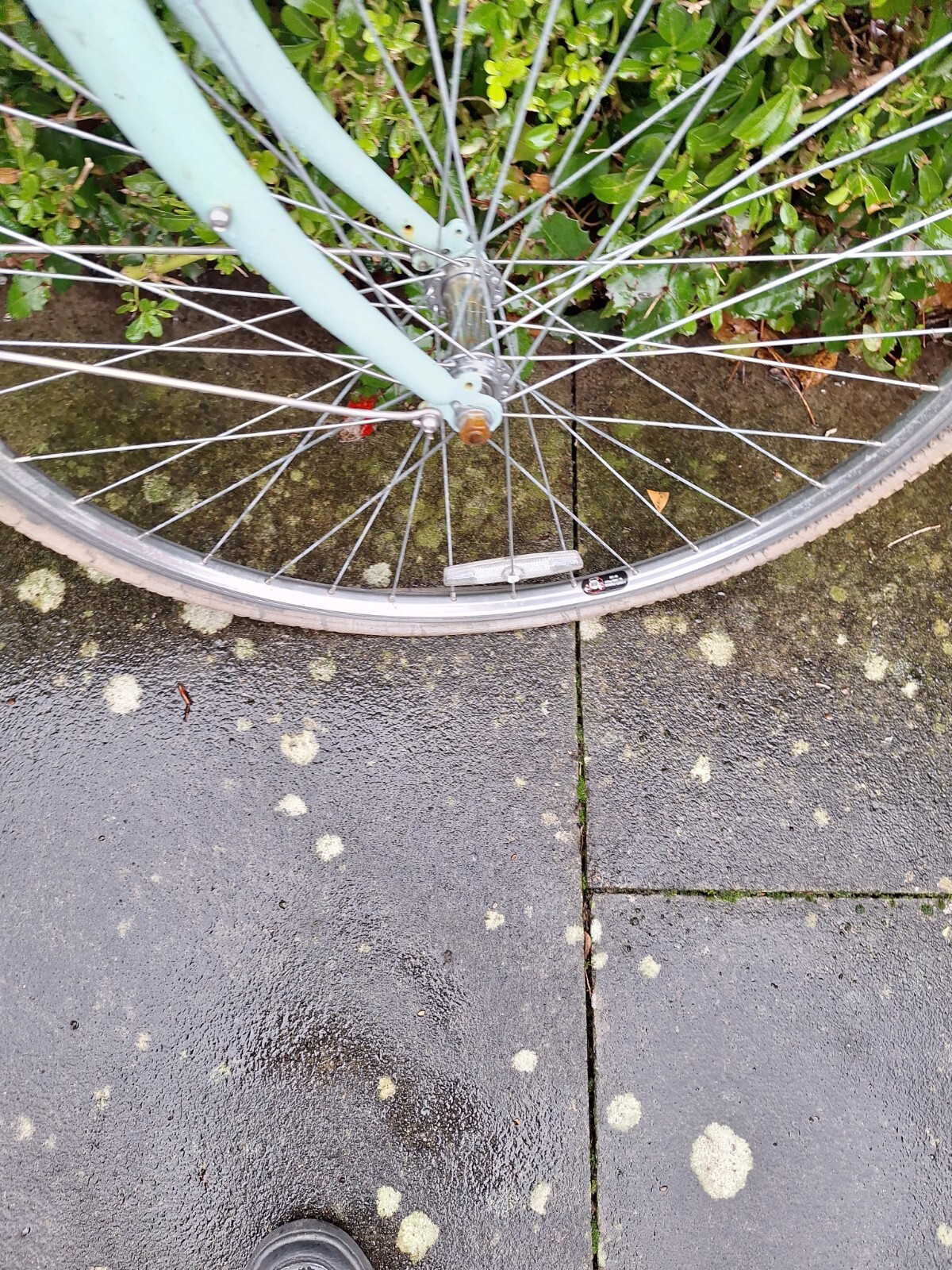 ladies pendleton somerby bike