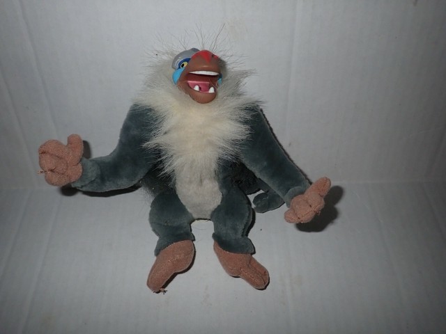 rafiki teddy
