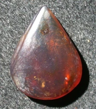 Beautiful Ruby RED Burmese Amber Fossil Gem with Barklouse and Wasp Dinosaur Age