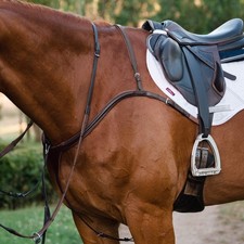 'Anka' Leather Breastplate