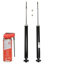2x Stoßdämpfer + 1x Multifunktionsöl hinten für FIAT BRAVO II, STILO; LANCIA