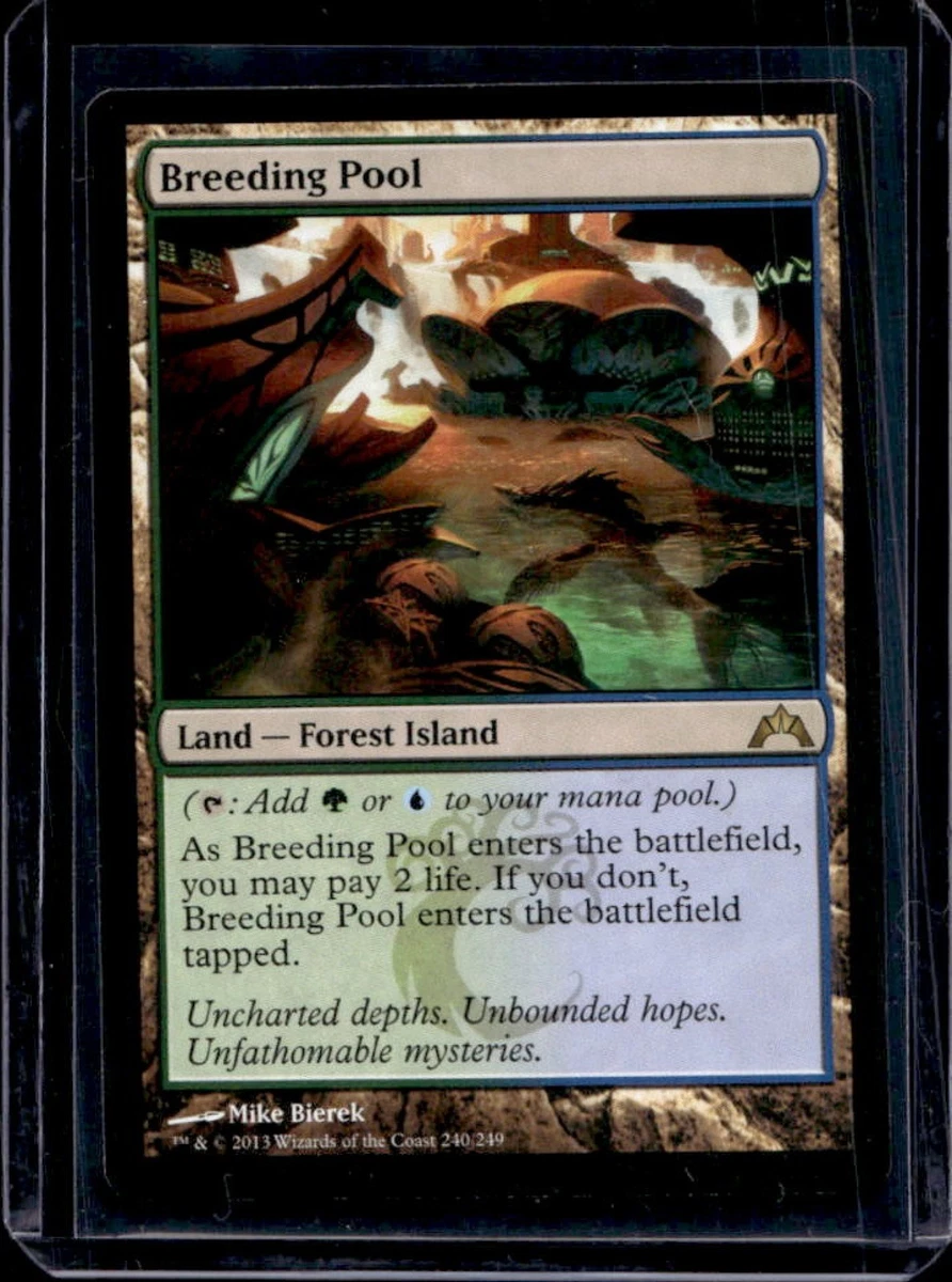 养殖池Magic: the Gathering 个人交换卡片游戏| eBay
