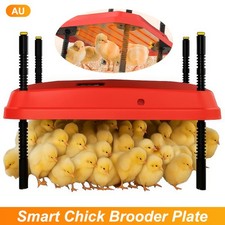 Chicken Coop Brooder 66W Heat Plate Adjustable Chick Heater Poultry 50-140°F Au