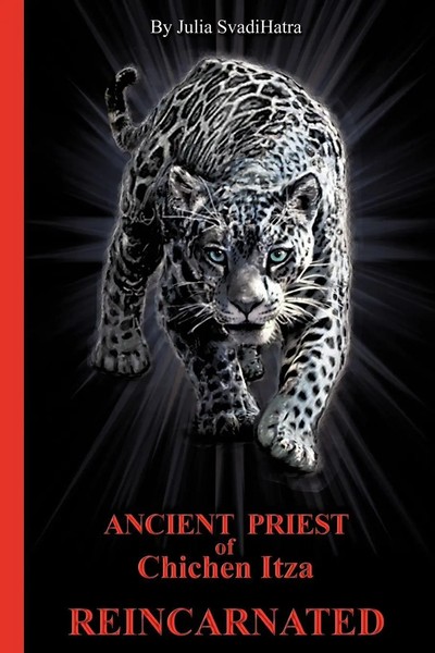 Julia Svadihatra | THE Priest | Taschenbuch | Englisch (2009) | iUniverse-image