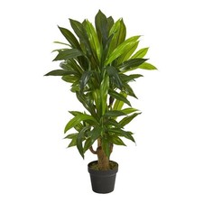 Nearly Natural 3ft Corn Stalk Dracaena Artificial Plant (Real Touch) in Green