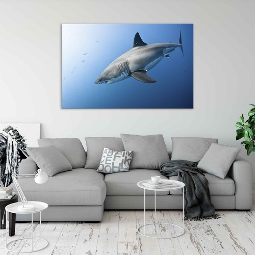 Great White Shark Original Canvas Print Large Picture Wall Art - Picture 4 of 8
