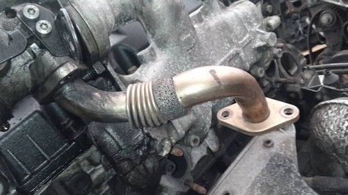 038131521L Abgasrohr Abgasrückführung   Volkswagen Passat DE1948745-33