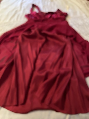 Neu mit Etikett Maggy London Damengröße 14 Chile rot 100 % Seide Kleid - Bild 16 von 18