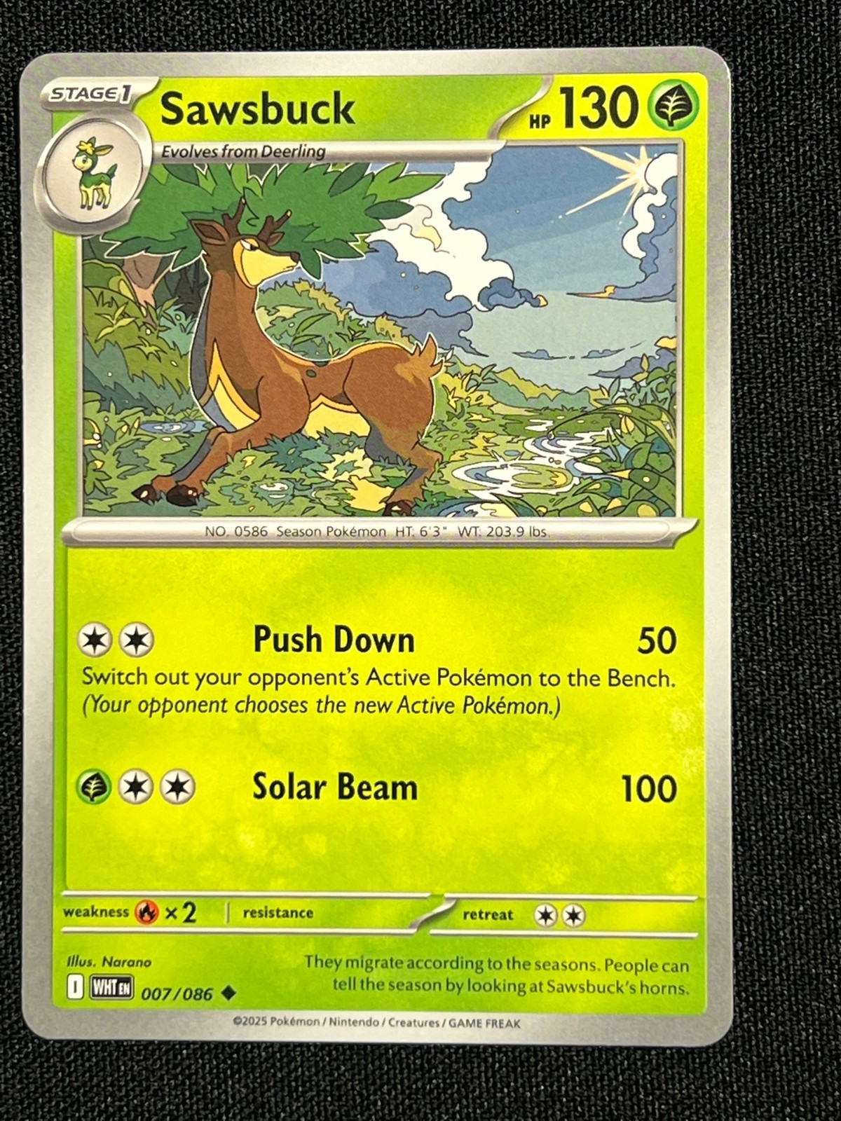 Sawsbuck 7 Pokemon White Flare