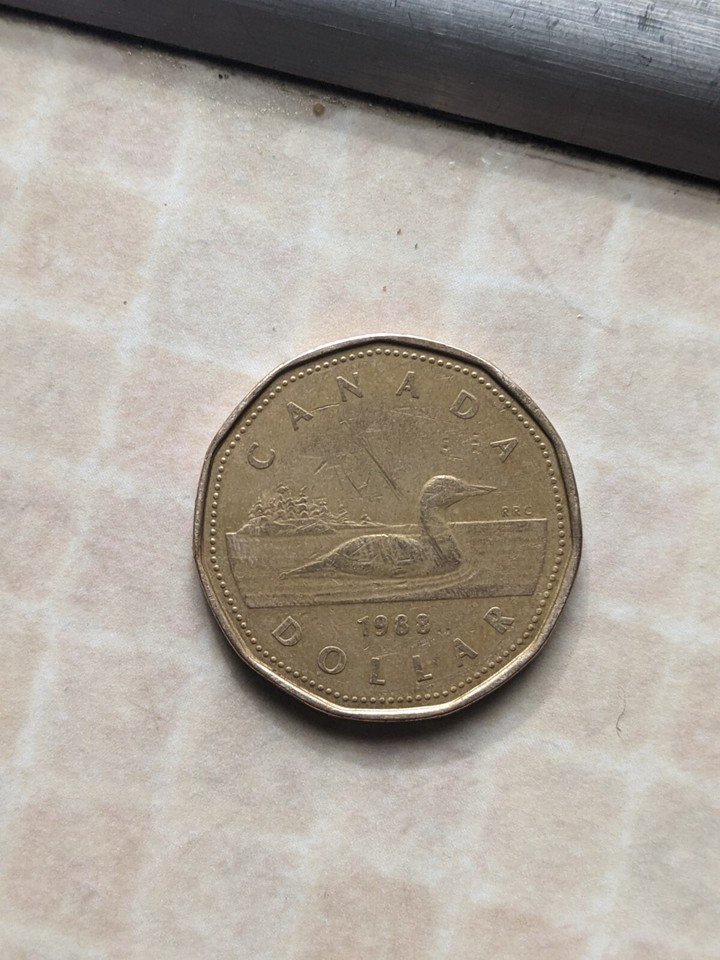 a-1988-canadian-dollar-coin-with-quenn-elizabeth-ii-good-condition-au