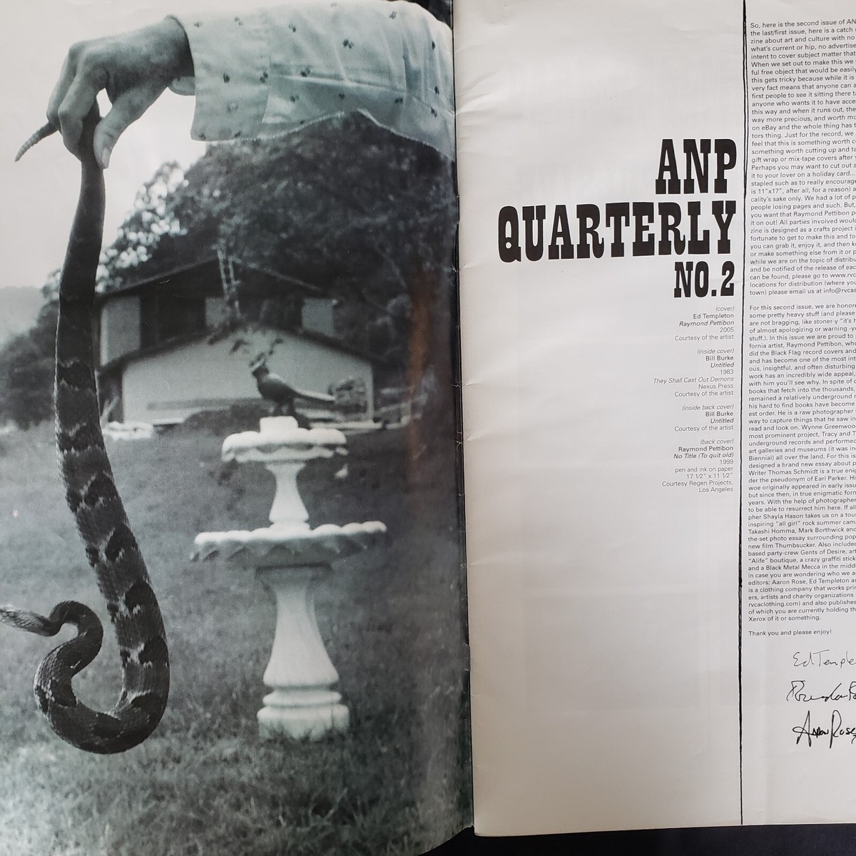 ANP Quarterly Issue 2 Raymond Pettibon Bill Burke 2005 RVCA Art