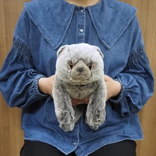 Sun Lemon Lap-Sized Scottish Fold Cat Plush Toy Gray 36cm Knee Series Japan