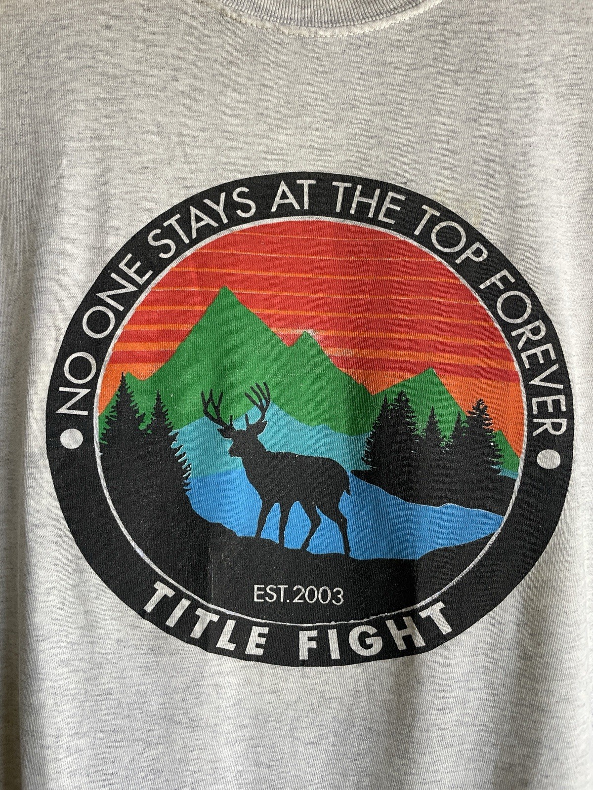 2011 Title Fight No One Stays At The Top Forever Band Tee Size M 21.5x26 RARE image 2