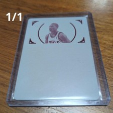 Derrick Rose National Treasures 1/1