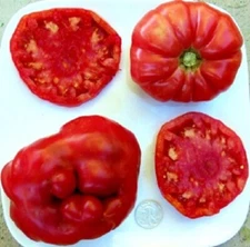 Watermelon - Huge  Heirloom Beefsteak  - +25 Fresh Seeds - 10% off 3 items!!