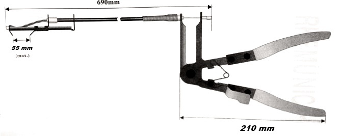 Foto 5 di 6