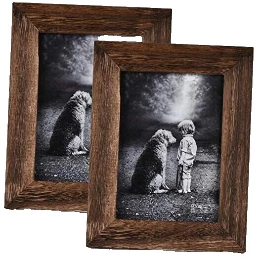 Деревянные рамы для картин животных и насекомых черный