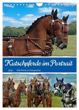 Kutschpferde im Portait (Wandk…