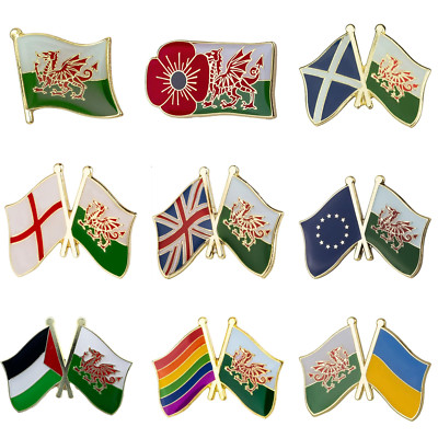 Wales National Dragon Flagge Freinship Emaille Pin Anstecker
