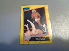 1991 Impel WCW Wrestling Trading Card #43 Ric Flair