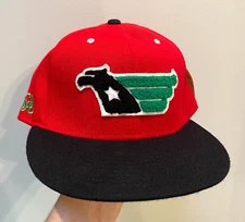 Stall & Dean USFL Washington Federals Fitted Hat Size 7 1/2