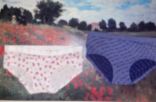 True Vintage Victoria’s Secret Fabulous Hiphugger Underwear Size Small