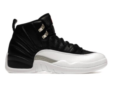 scorpion jordan 12s