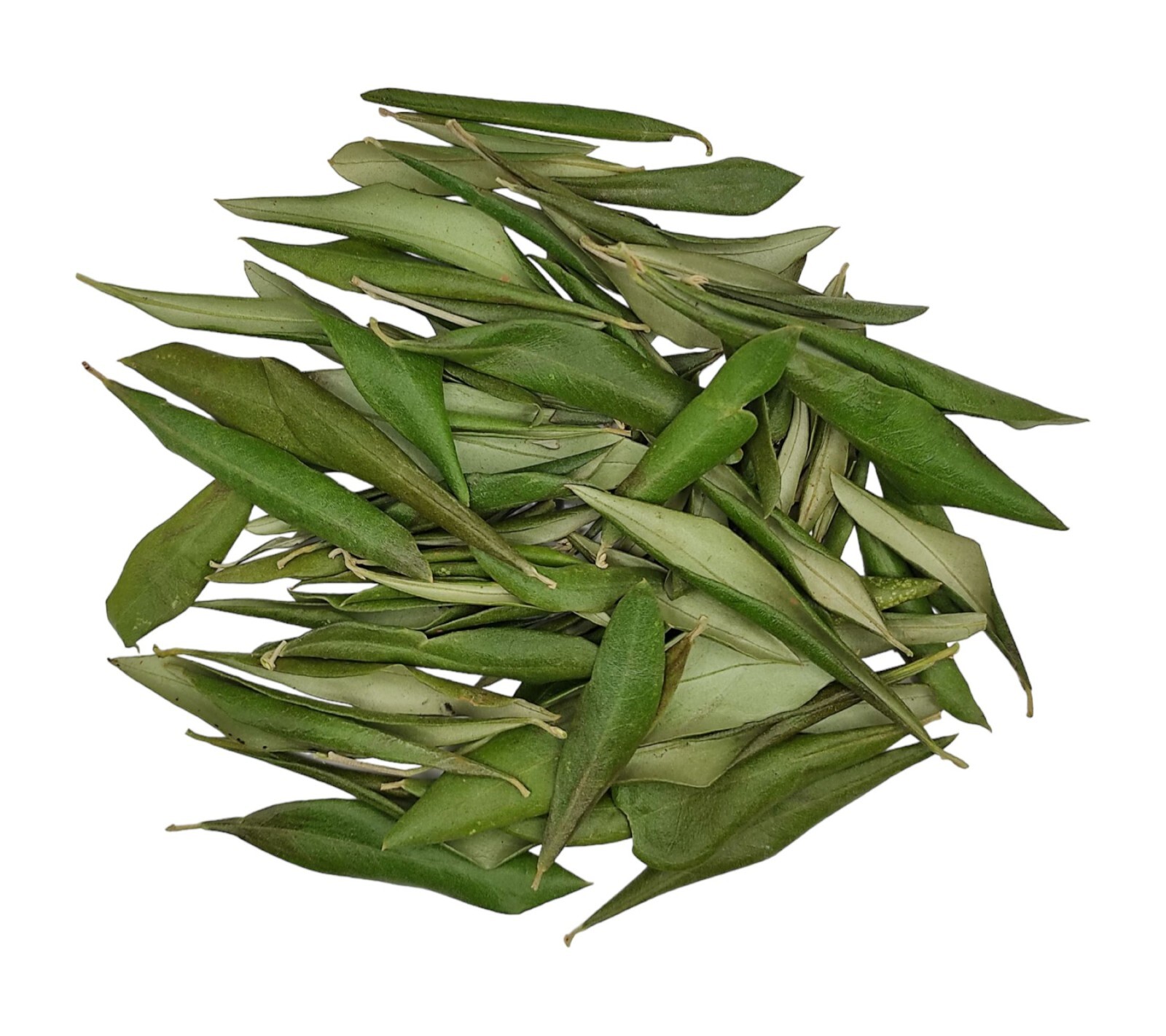 Greek Dried Olive Leaves 460 Grams (16.3 oz) | Harvest 2025 | Αntidiabetic Tea