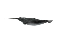 Whale, Narwhal, Realistic Toy Ocean Figure, Model, Replica 11" CH383 BB143