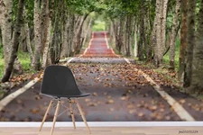 3D Trees Road Self-adhesive Removeable Wallpaper Wall Mural