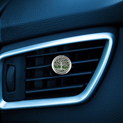 Car Vent Essential Oil Diffuser Car Clip Diffuser Small Box for Car Aromatherapy