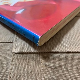 The Vampire Hunter Sega Saturn #QYEERB