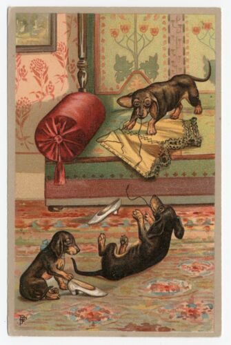 DACHSHUND NAUGHTY DOGS HAVING FUN WITH A LADIES CORSET RARE OLD DOG ART POSTCARD - Picture 1 of 2