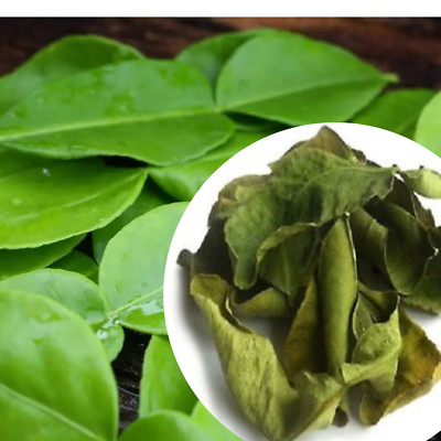Dried Lime Large Leaves Organic Kaffir Natural Premium Quality Grade A Herbal