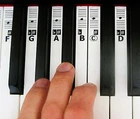 Piano Learning Stickers "B" + Free Lessons Web Links! Music Teaching Label