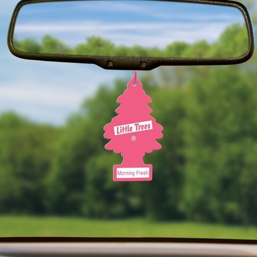 Little Trees MORNING FRESH Freshener 10228 Air MADE IN USA Pack of 120 - Picture 9 of 11