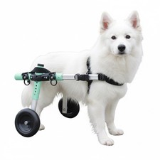 Walkin' Wheels Small Dog Wheelchair, for Back Legs, 15-25 lbs Color- Seafoam