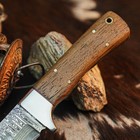 8.8" inch Handmade Damascus Hunting Knife Full Tang Wood Handle Leather Sheath — photo 3