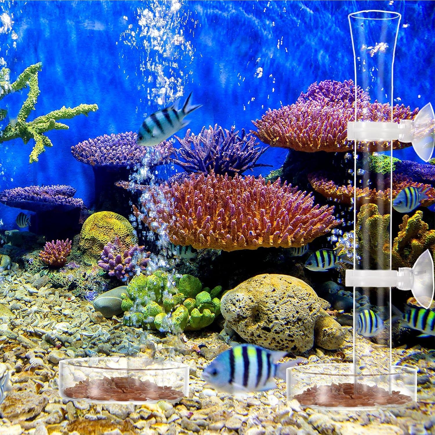 3 Pieces Shrimp Feeding Tube and Dish Set, Include Glass Shrimp Feeder Tube and