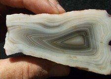 Botswana Banded Agate Open Nodule 124 Grams or 4.4 oz from Africa