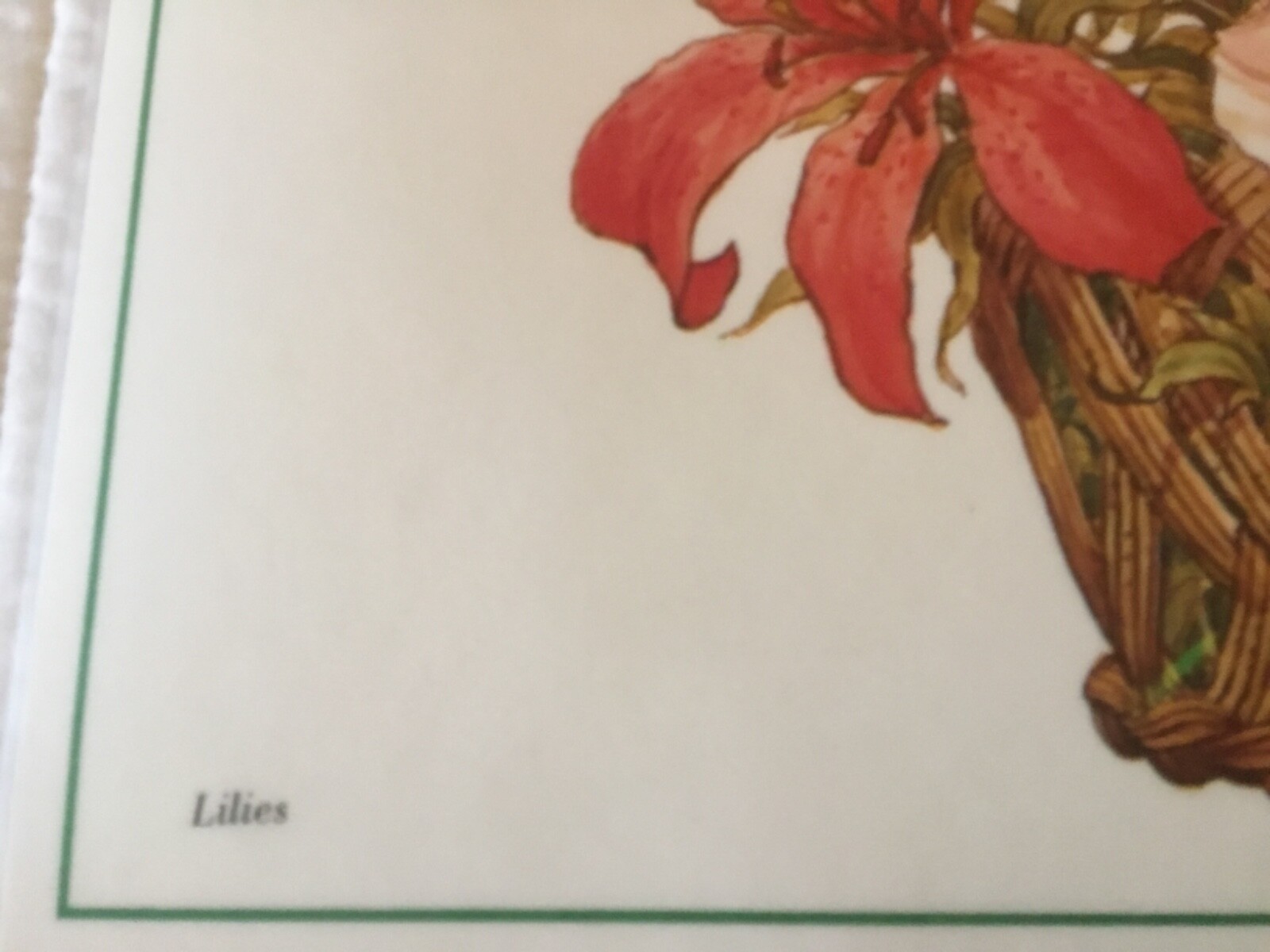 Floral Flair Designs VINTAGE Ken Bower LILIES Plastic Coated Placemats  SET of 6