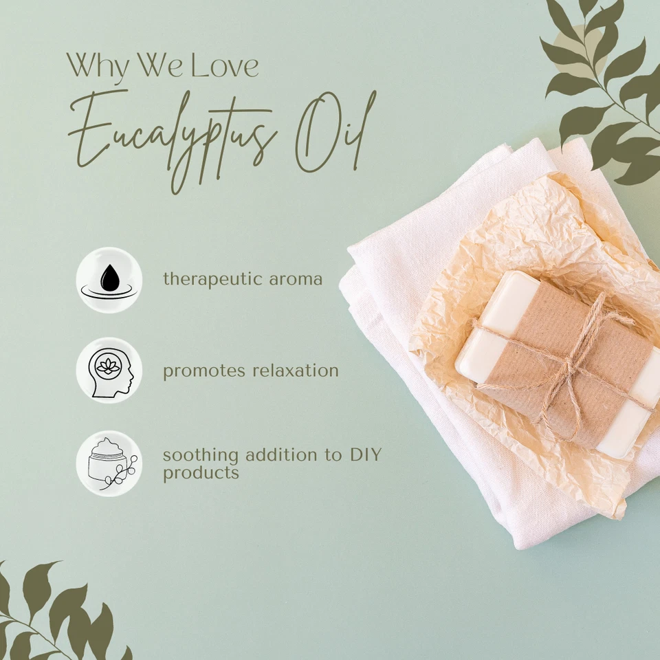 Aceite Esencial de Eucalipto Globulus 100% Puro Envío Gratis Muchos Tamaños Foto 3 de 4