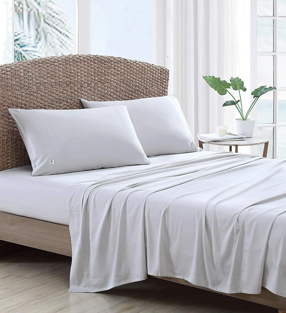 Retreat Standard Percale Fitted Sheet