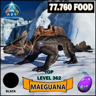 Ark Survival Ascended PC/PS5/XBOX PVE BLACK MAEGUANA   Level 362 Food / Damage